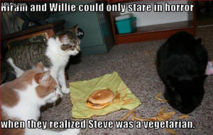 ... Page 15/15 from Funny Pictures 965 (Vegetarian Cat) Posted 1/19/2011