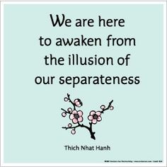 Quote - Illusion Of Our Separateness