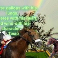 horse quotes photo: Horse Racing Banner untitled.jpg