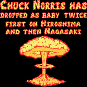 chuck norris facts t shirts