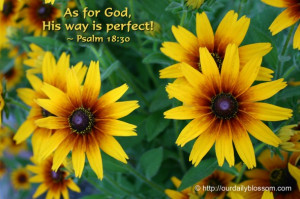 As for God, His way is perfect! ~ Psalm 18:30