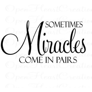 Miracles Come in Pairs Vinyl Wall Decal - Twin Baby Nursery Wall Quote ...