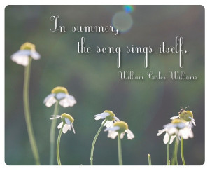 quotes about summer