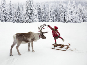 Winter Magic' by Per Breiehagen