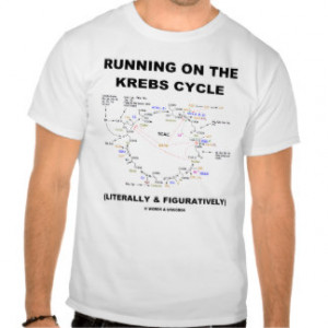 Running T-Shirts with Sayings