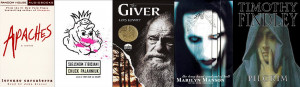 the giver in lois lowry s novel the giver perfection is a way of life ...