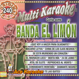 La Original Banda El Limon