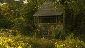 Plainville neighbors worried about vacant home after coyote attack