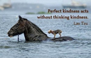 acts without thinking kindness picture quotes