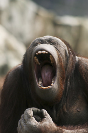 Share Your Voice! Cancel reply