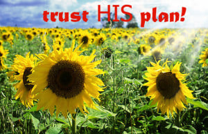 Trust His plan.