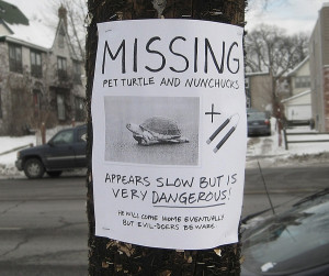 Funny telephone pole signs