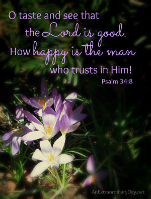 Taste & See that the Lord is Good :: Nature Photo, Scripture Quote ...