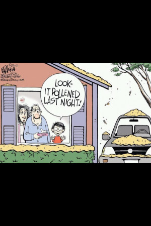 Welcome to East Texas.: Laughing, Pollen, Spring Time, Quotes, Texas ...