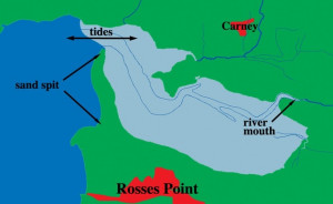 Estuary Definition Estuaries introduction to