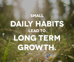 Small daily habits lead to long term growth