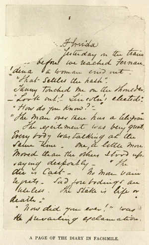 Mary Chesnut Blogged The Civil War