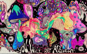 trippy lsd shrooms acid psychedelic trip tripping hallucination ...