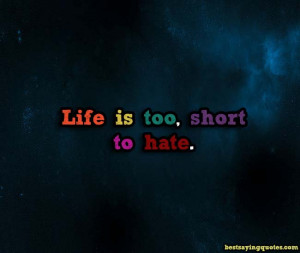 Quotes About Life and Hate