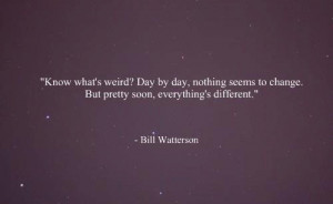 Bill Watterson Quotes (Images)