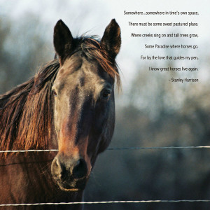 Horse Loss Poems: I Know Great Horses Live Again by Stanley Harrision