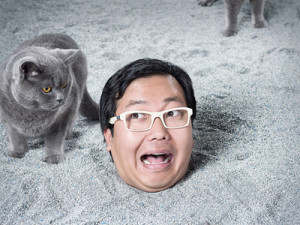 jonathan-huh.jpg#huh%3F%20400x300