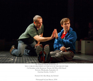 The Curious Incident of the Dog in the Night-time is playing at the ...