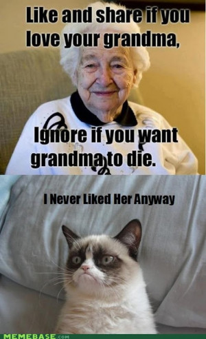 Grumpy Cat - Grandma How I feel about every Facebook post like this.