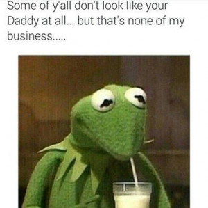 Top 20 Funniest Kermit The Frog Memes
