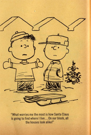 book , Charlie Brown , Christmas Stocking