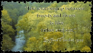 Quote: The relationship between forests and rivers is like father and ...