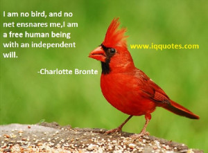 bird quotes 1