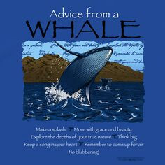 advice from a whale more accurate advice true nature thoughts advice ...