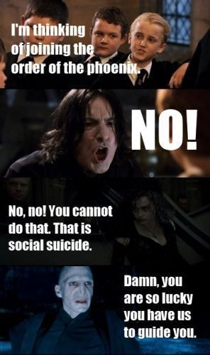 love Harry Potter Mean Girls Memes | via Tumblr
