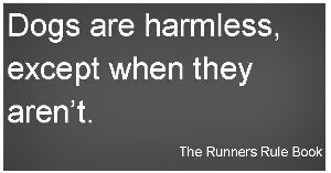 ... really impress your running friends with your quotes about running