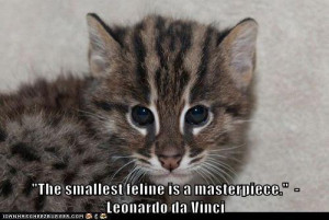 The smallest feline is a masterpiece.”