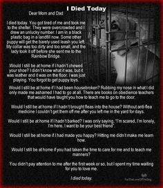 Ohmigoodness that's so sad I HATE animal abuse. It's soo cruel! I cry ...