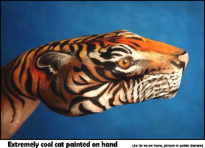 funny-cat-quotes-very-cool-cat-bodypaint-on-hand.jpg