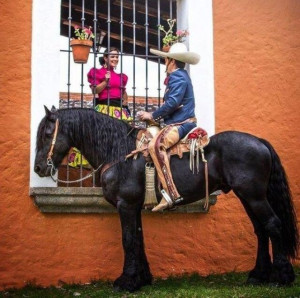 Charros Mexicanos Tumblr Amor charro mexicano
