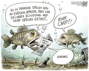 ... species, pollution, asian carp, humans, industry, runoff, preservation