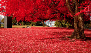 Incríveis paisagens!!