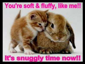 funny-quotes-and-sayings-with-picture-of-the-cat-and-rabbit-funny ...