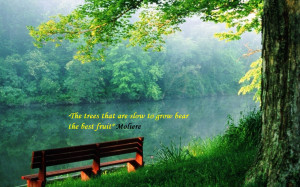 ... to Beautiful Images of Nature Screensavers with Quotes Next Image