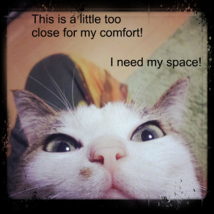 ur_invading_my_personal_bubble-38854.jpg?i
