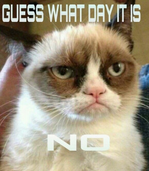 ... quotes quote cat days of the week wednesday hump day wednesday quotes