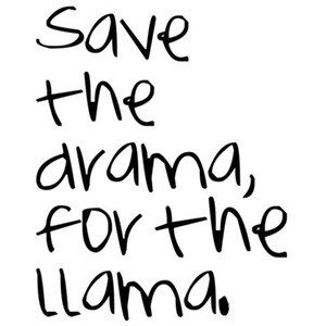 Drama Llama Quotes