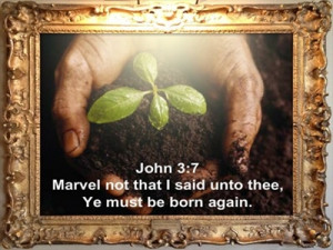 Ye must be born again John 3:7