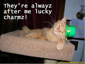 funny-cat-luckycharm.jpg