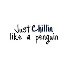 cute penguin adorable love liked on polyvore more chillin penguins ...