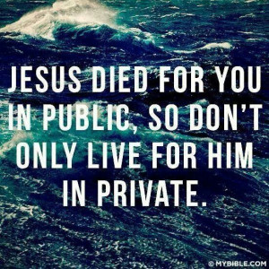 Pinned by Chris Schell